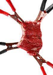 Dykella does meat